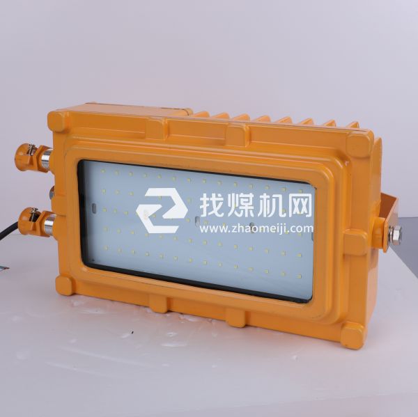 礦用隔爆型LED巷道燈DGS50-100/127L(A)