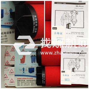 DH多明尼克過濾器AX0030G-C AO0030G-C AA0030G-C濾芯
